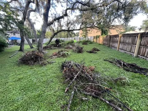 Piles of branches and brush staged for removal in a Tampa backyard
