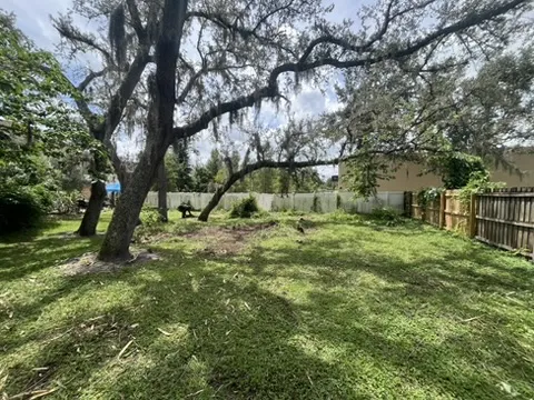 Clean backyard after 813 Junk Solutions yard waste removal