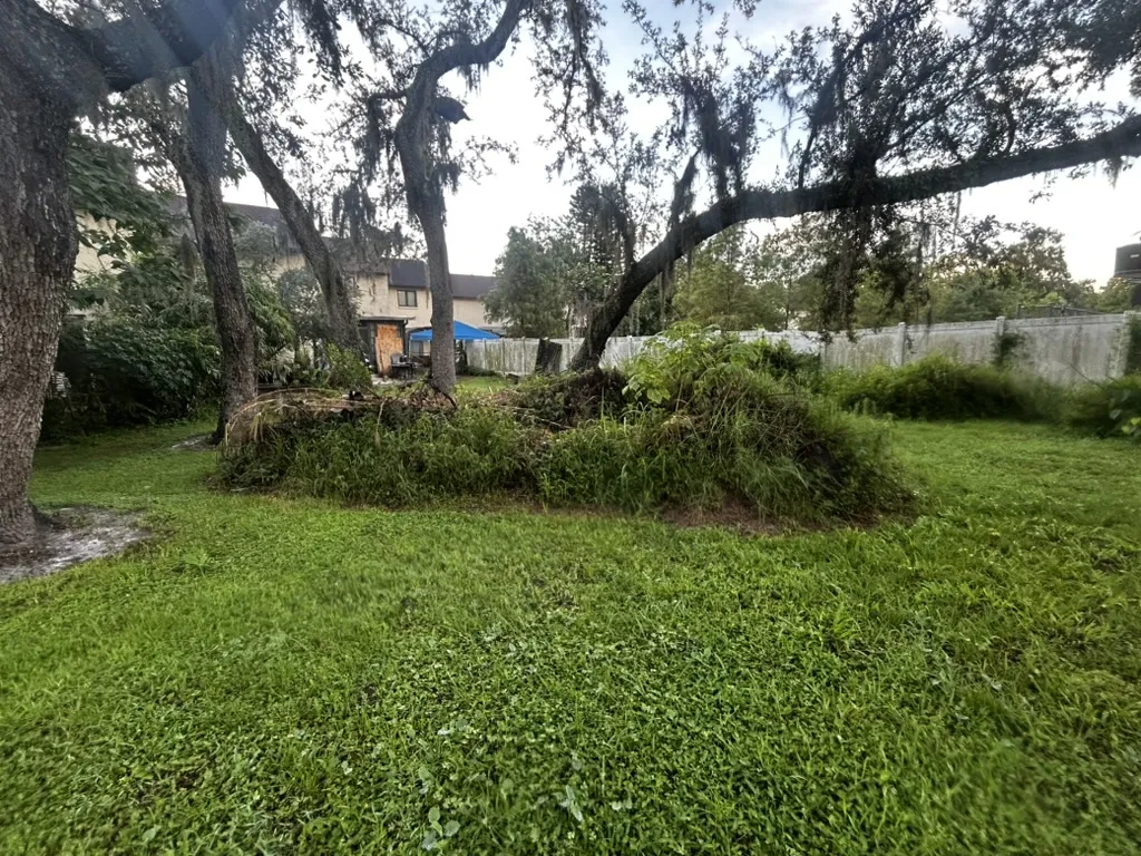 Mound of yard debris and overgrowth before cleanup